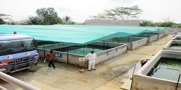 AMENAGEMENT DU SITE ET BALLISAGE DE AQUARIN